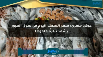 عرض حصري: سعر السمك اليوم في سوق العبور يشهد تباينًا ملحوظًا